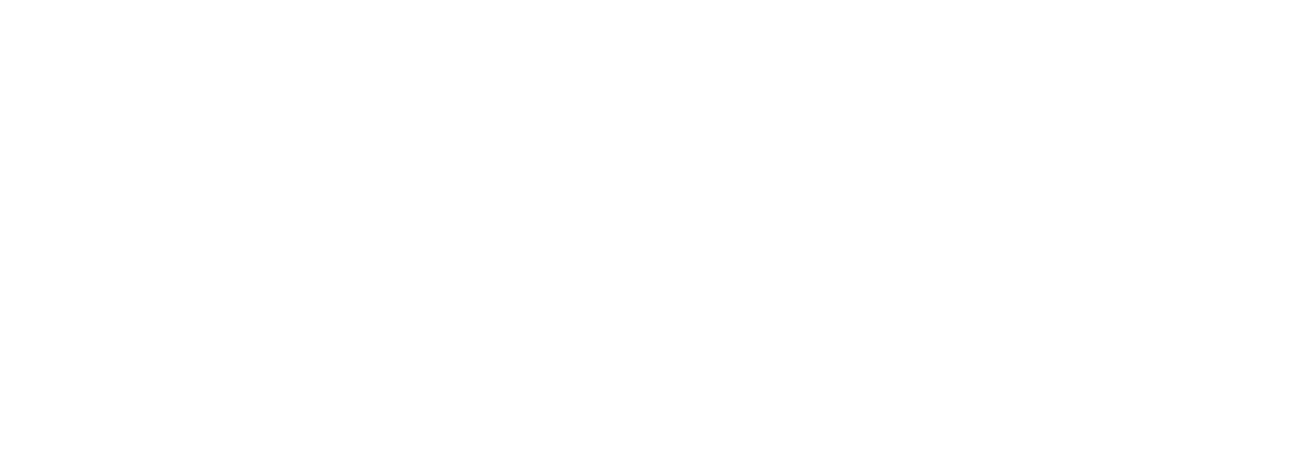 Agentur Wyss AG